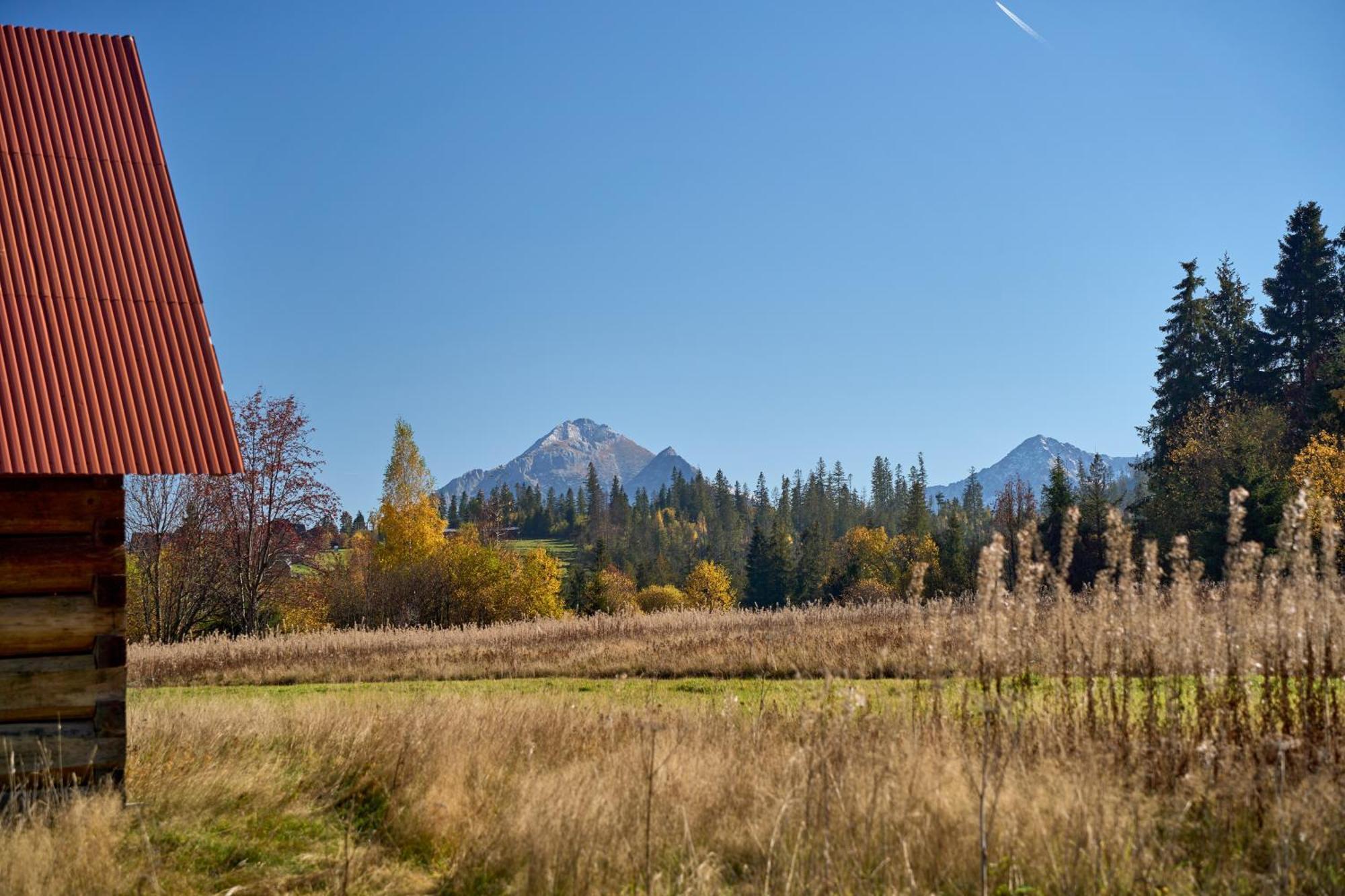 Domek Slebodny Uplaz Zakopane Exterior photo